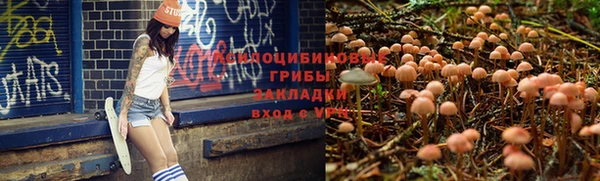 PSILOCYBIN Ивангород