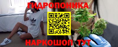 СК Краснокаменск