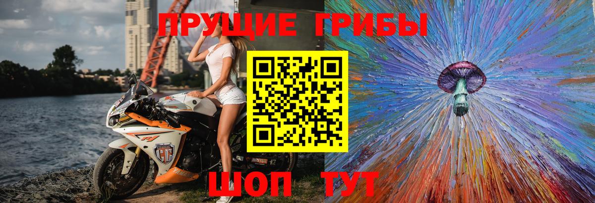 Ленинск-Кузнецкий  Галлюциногенные грибы Psilocybe  Галлюциногенные грибы прущие грибы  Вход с VPN 