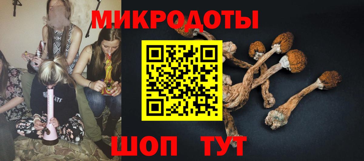 Галлюциногенные грибы ЛСД Ленинск-Кузнецкий