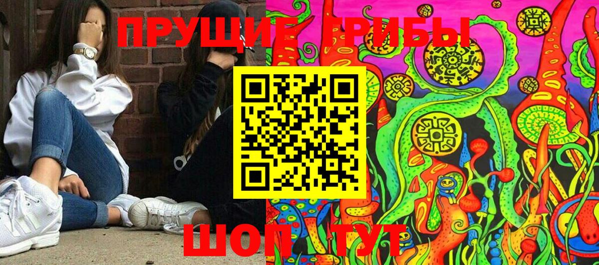 Галлюциногенные грибы прущие грибы  как найти закладки  Ленинск-Кузнецкий 