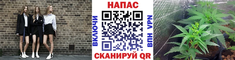 Бошки марихуана SATIVA & INDICA  купить наркотики сайты  Ленинск-Кузнецкий 